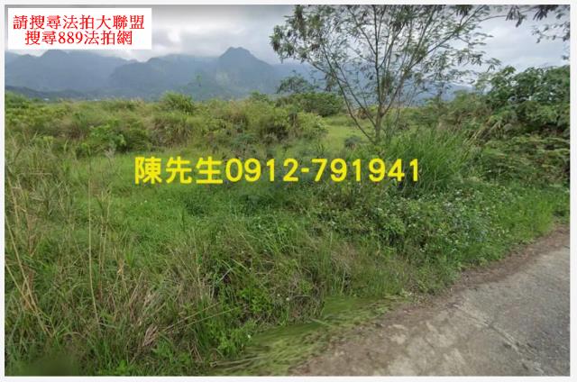 長濱法拍農地-10