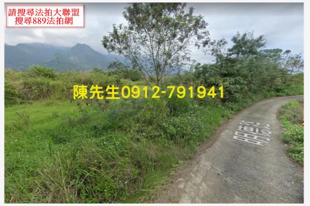 長濱法拍農地-13
