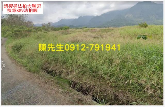 長濱法拍農地-3