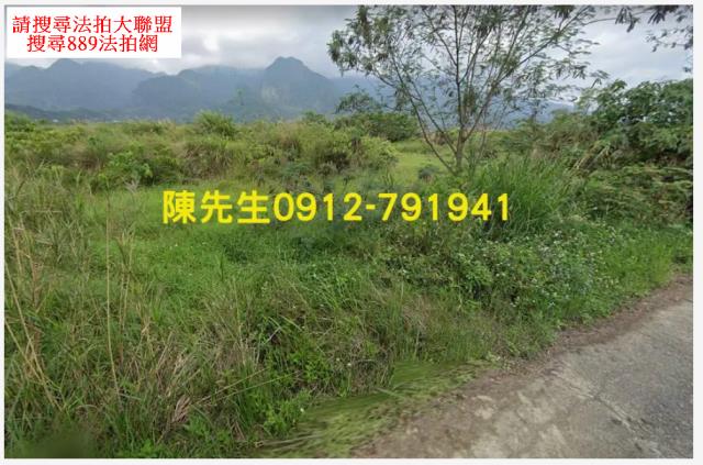 長濱法拍農地-10
