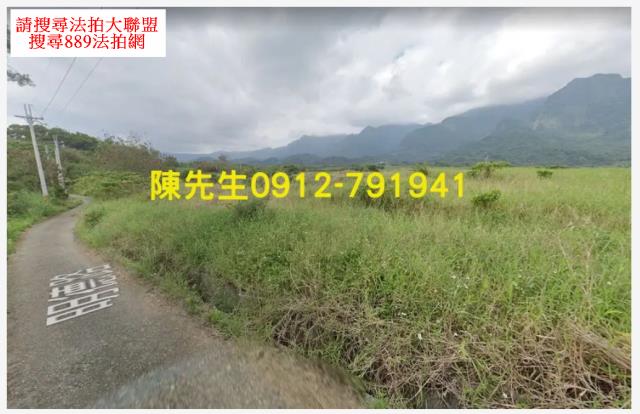 長濱法拍農地-12