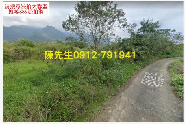 長濱法拍農地-2