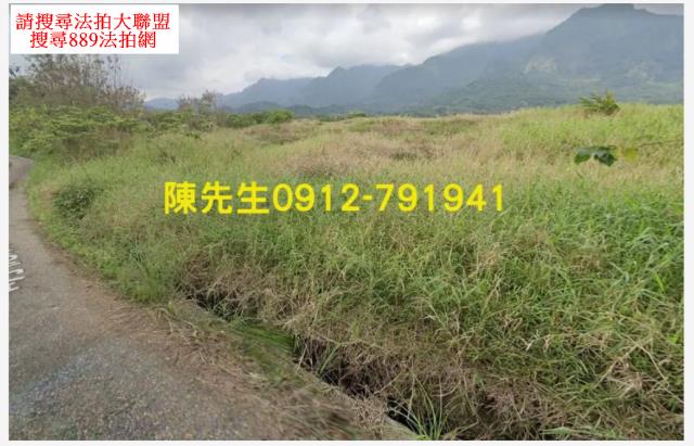 長濱法拍農地-4