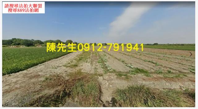 元長法拍農地-8