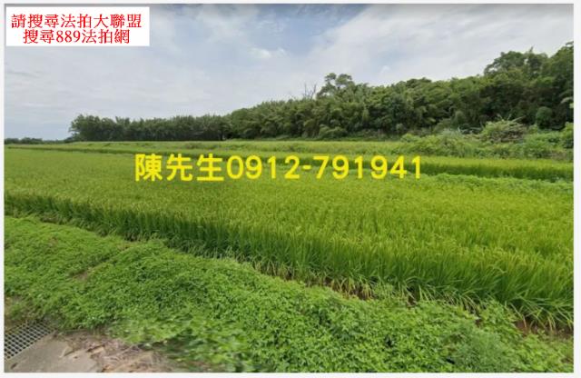 桃園楊梅法拍農地-7