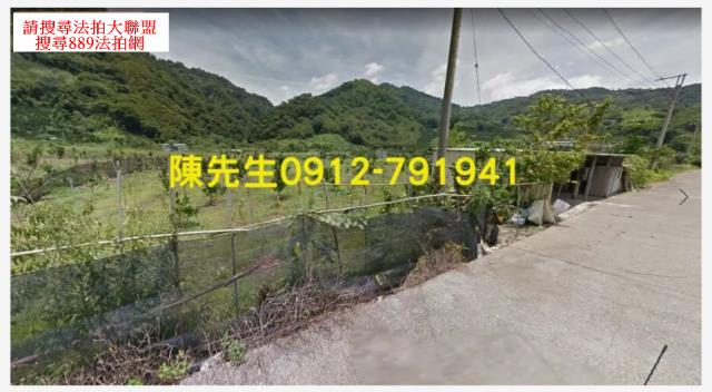 泰安農地法拍-9