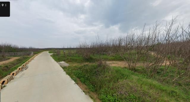 澎湖西嶼法拍農地-3