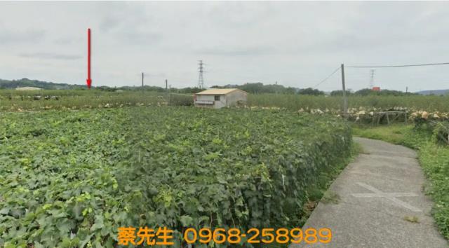 苗栗卓蘭農地法拍-14