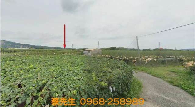 苗栗卓蘭農地法拍-7