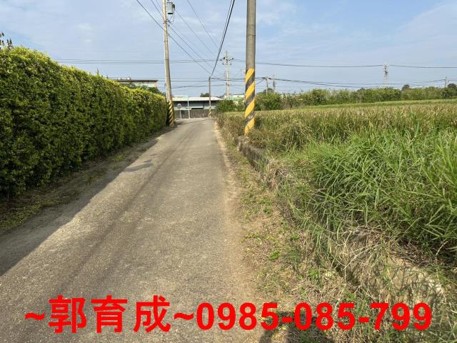 湖口農地-6