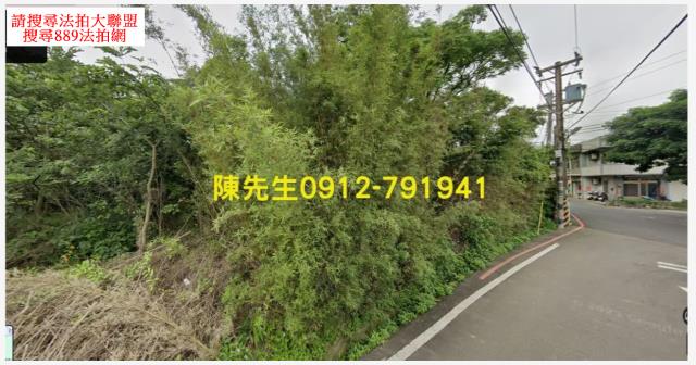 桃園大園農地法拍-1