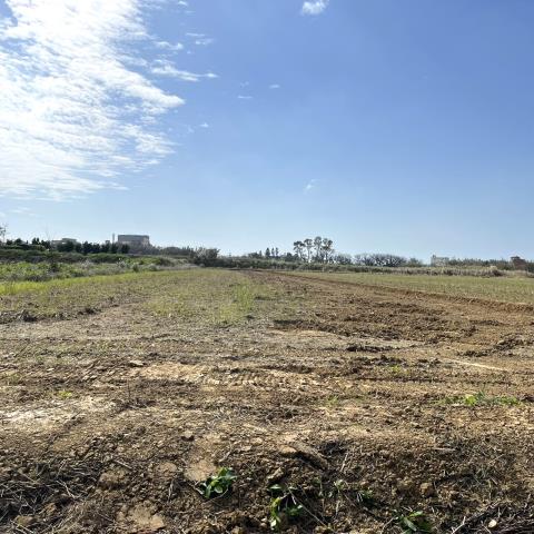 桃園新屋農地-1