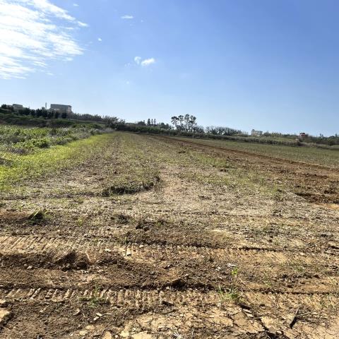 桃園新屋農地-2