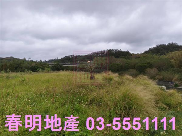 新竹寶山農地-10