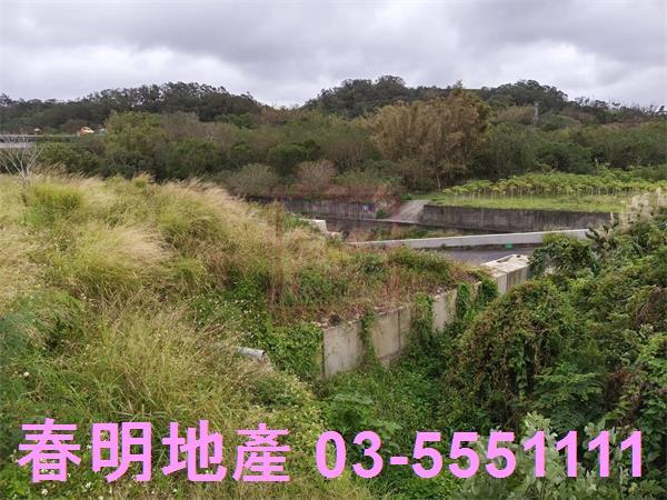 新竹寶山農地-14