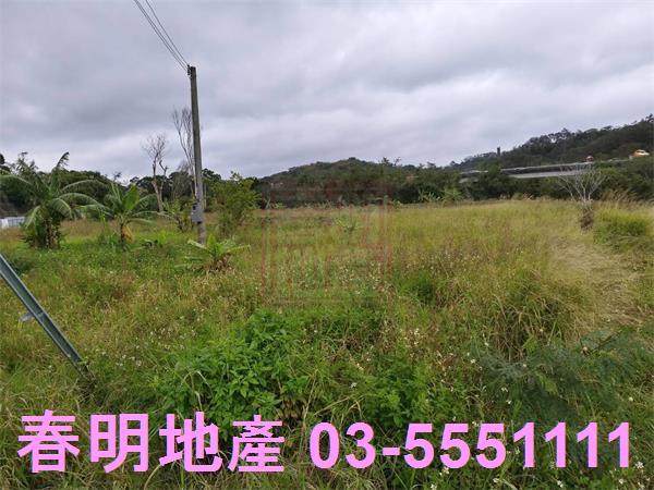 新竹寶山農地-15