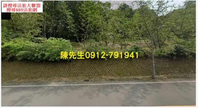 南港種菜地法拍-1