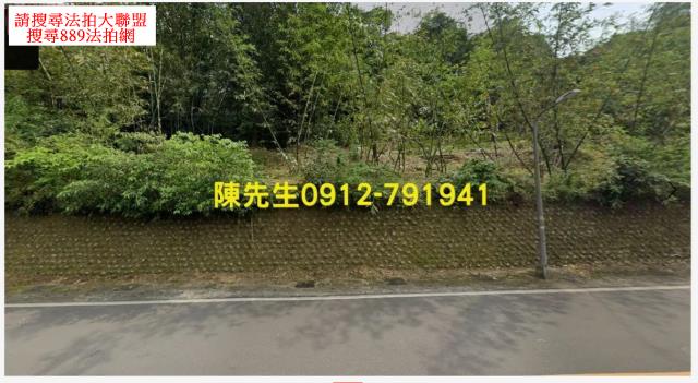 南港種菜地法拍-8