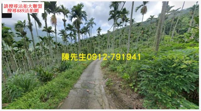 壽豐法拍農地-1