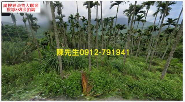 壽豐法拍農地-3