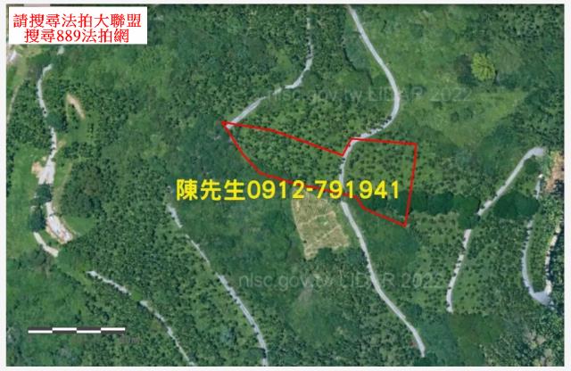 壽豐法拍農地-4