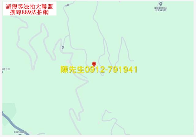 壽豐農地法拍-14