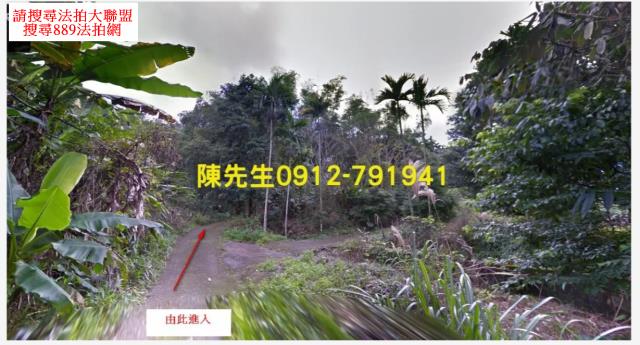 壽豐農地法拍-2