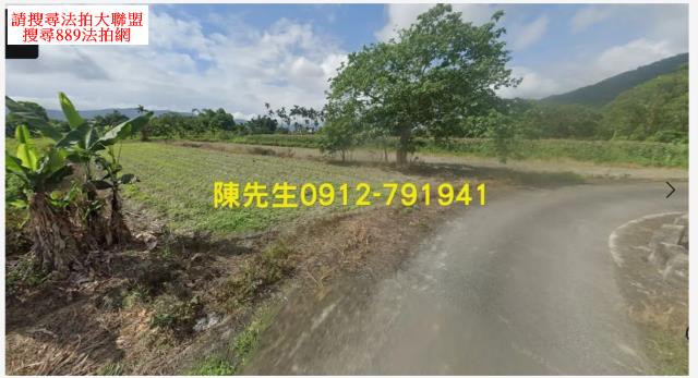 壽豐拍賣農地-10