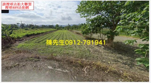 壽豐拍賣農地-1