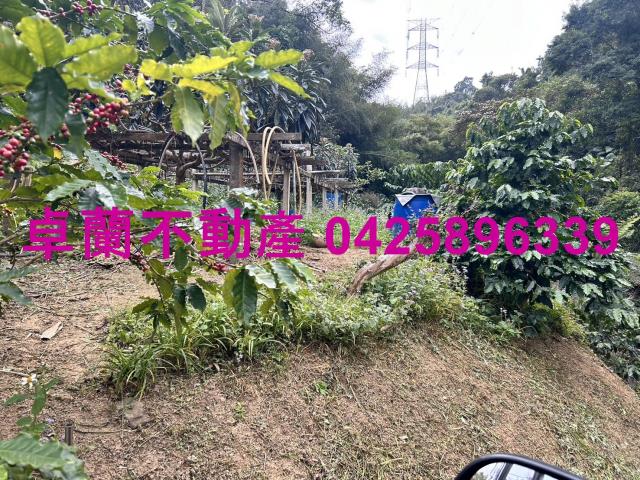 卓蘭農地-3