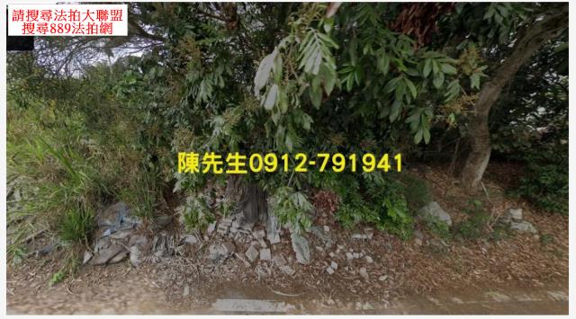 南投農地法拍-8