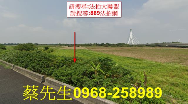 朴子法拍農地-1