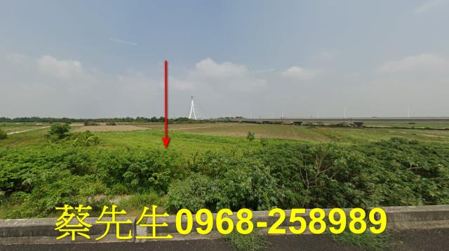 朴子法拍農地-4