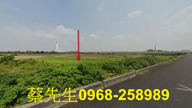 朴子法拍農地-5