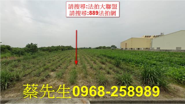 嘉義法拍農地-1