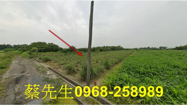 嘉義法拍農地-2