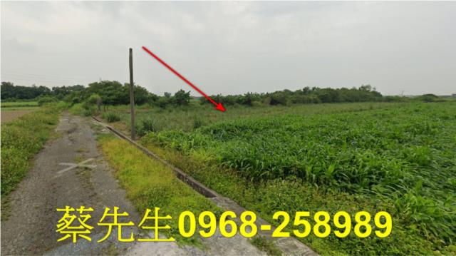 嘉義法拍農地-3