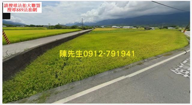 池上農地法拍-8
