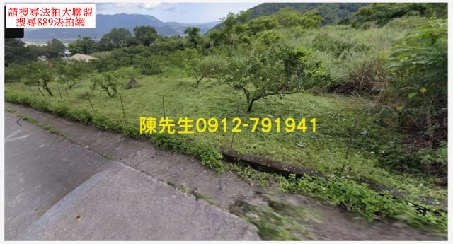 海端山坡地法拍-11