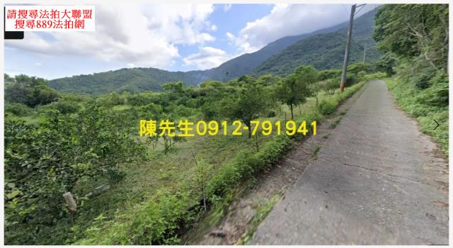 海端山坡地法拍-2