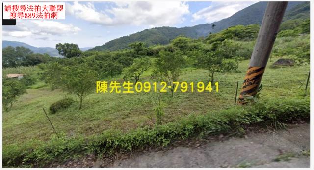 海端山坡地法拍-9