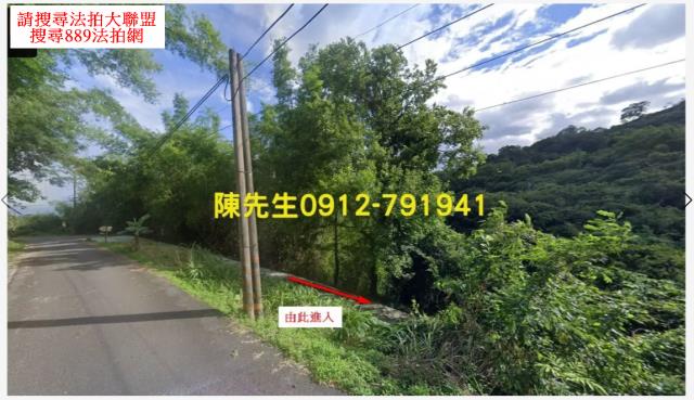 長濱農地法拍-10