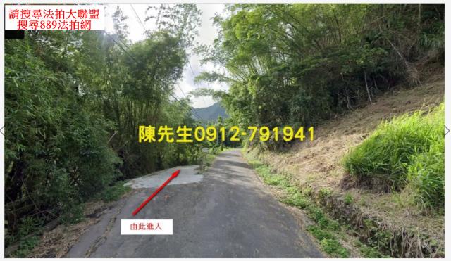 長濱農地法拍-9