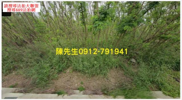 馬公法拍農地-8