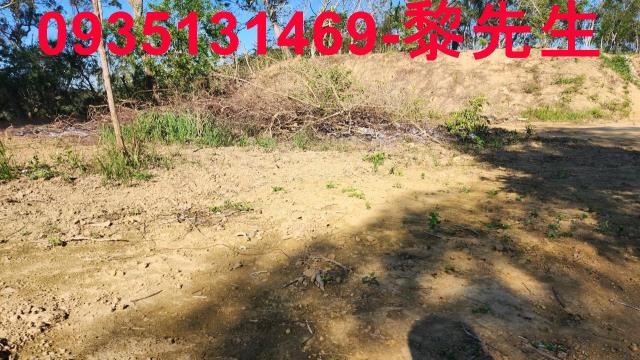 新竹峨眉農地-5