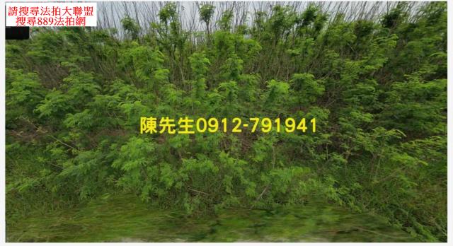西嶼農地法拍-1