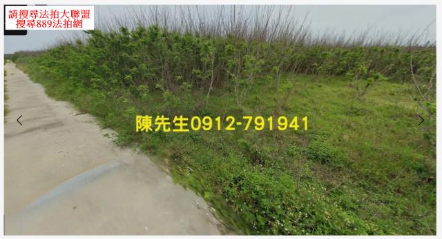 西嶼農地法拍-3