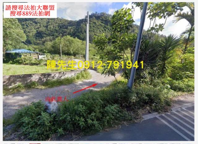 花蓮卓溪農地拍賣-11