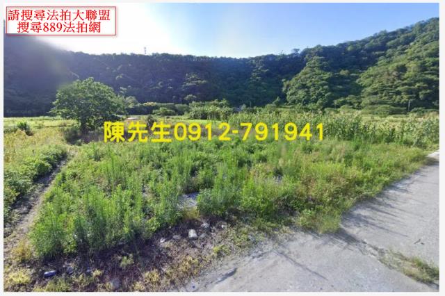 卓溪拍賣農地-10