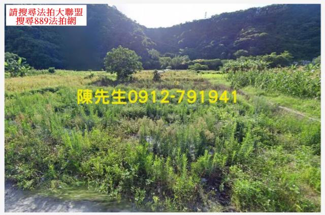 卓溪拍賣農地-9